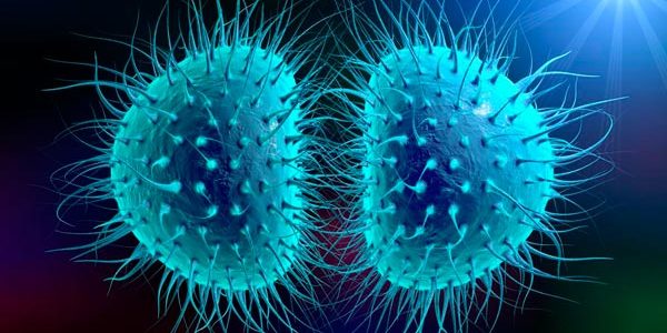 ¿Qué es la meningitis y cuáles son sus síntomas?