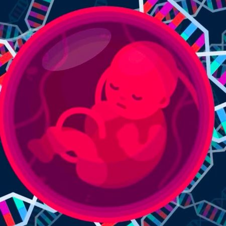 Genética y Dismorfología