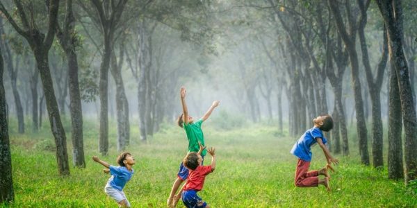 Crecer en un área verde favorece la salud mental Crecer en un área verde favorece la salud mental