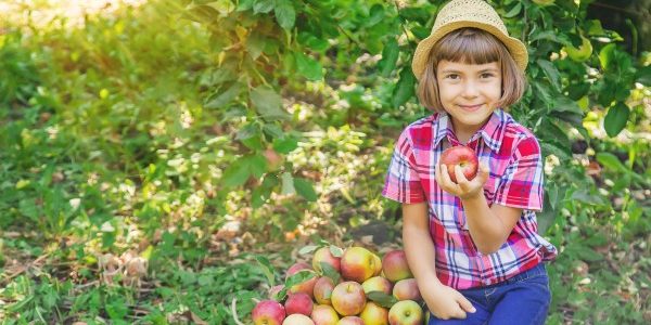 8 maneras de que tus hijos coman mejor